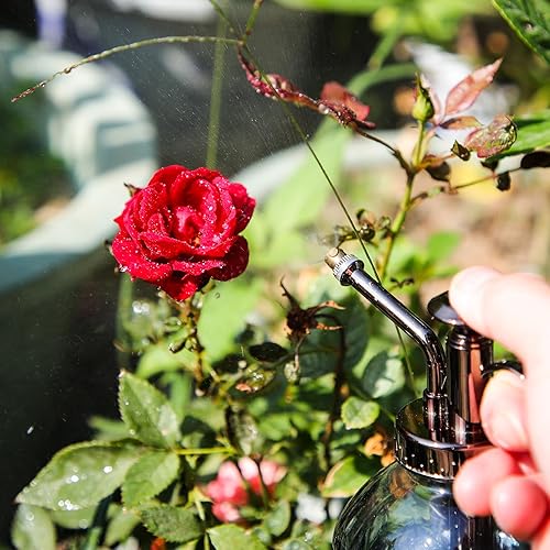 Miniatura 22 de OFFIDIX Mister de cristal para plantas, 6.3 pulgadas de alto, estilo vintage, de bronce, bomba superior de plástico con una mano, regadera