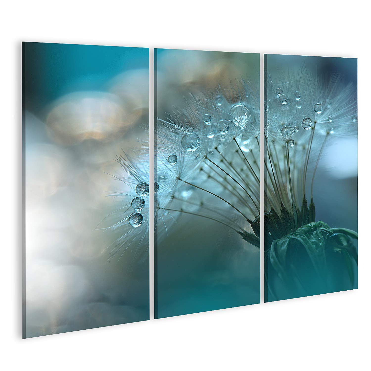 Cuadro sobre lienzo Hermoso Macrodandelion Flores Arte Diseño Close Up Fotographyconceptual Abstracto Papel pintado Hermosa Naturaleza Fondo Verde Mural Sala de estar Hogar Oficina Póster Fotos GBFD-3Px