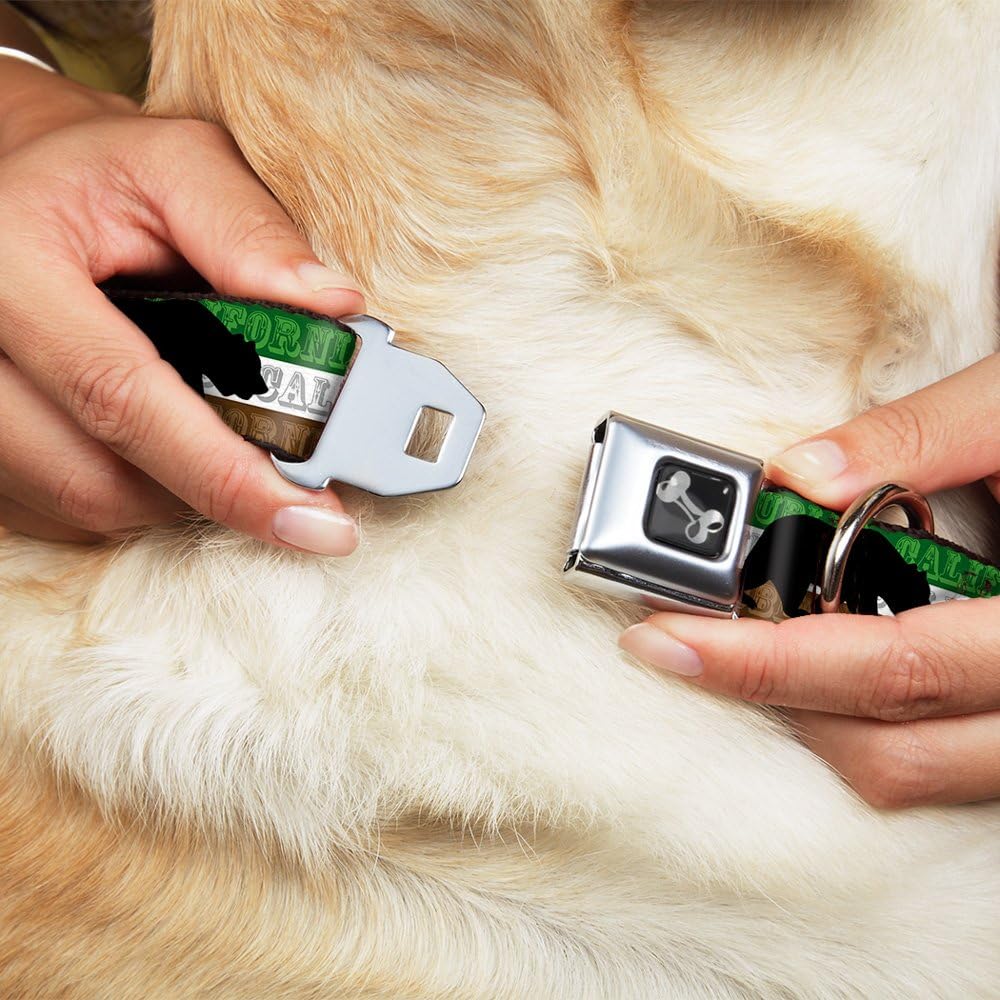 Buckle-Down Seatbelt Buckle Dog Collar - Cali Bear Silhouette & Star/CALIFORNIA REPUBLIC Green/White/Brown/Black/Red - 1" Wide - Fits 15-26" Neck - Large