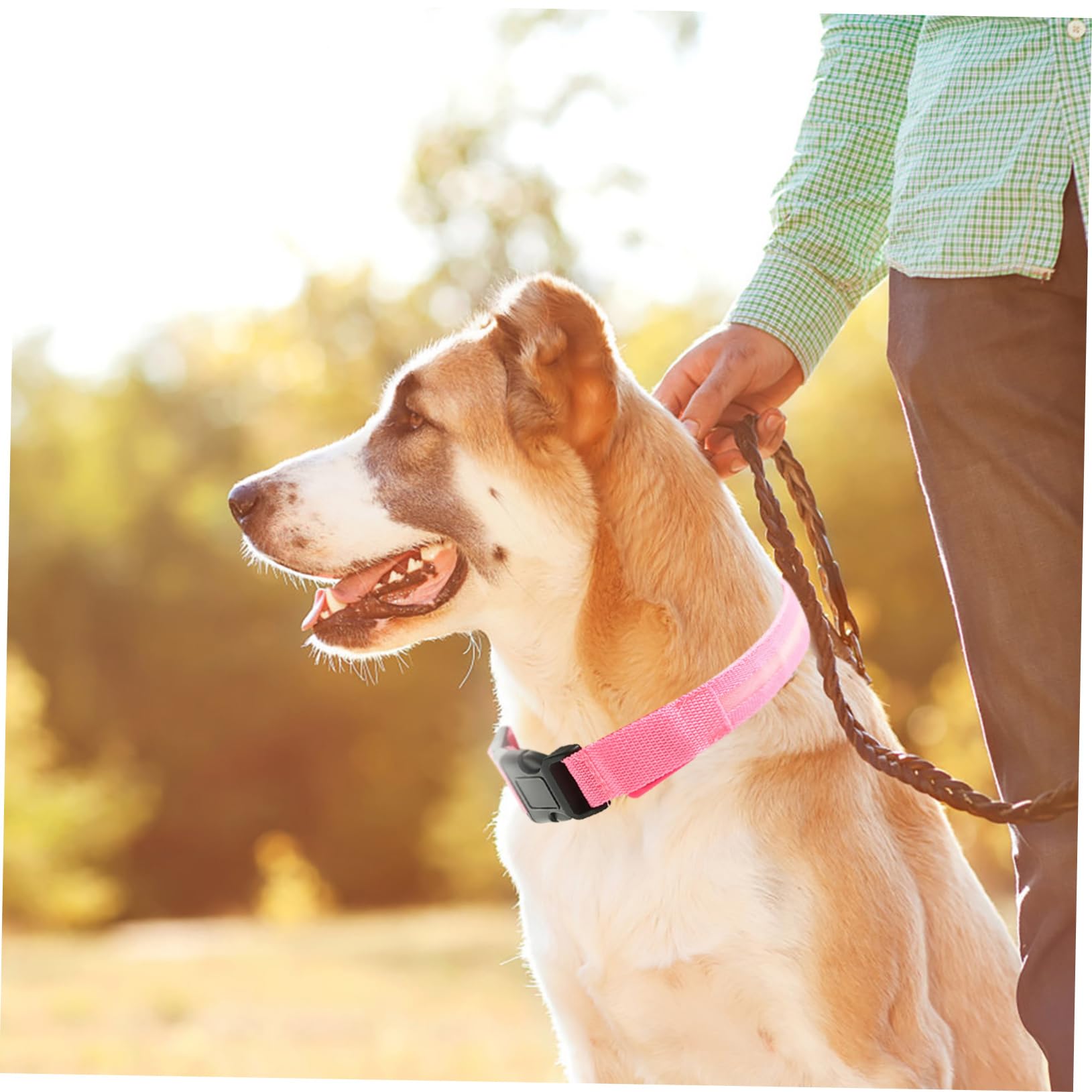 BESPORTBLE 4juegos Collar para Perros y Gatos Collar De Seguridad Recargable por USB Diseño Práctico y Creativo para Paseos Nocturnos para Mascotas De Mediano