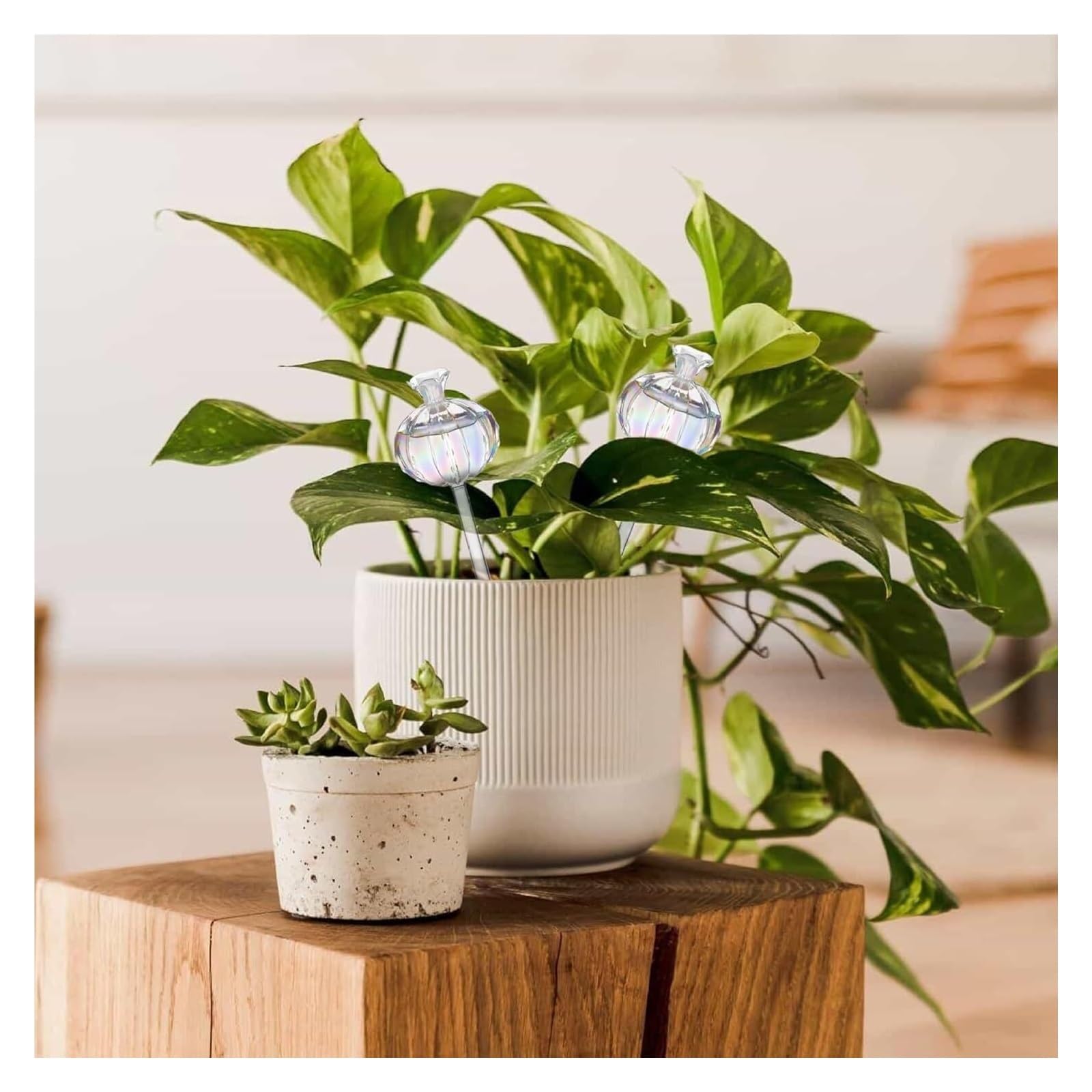 kule do podlewania roślin， Kule do podlewania roślin domowych, 4 szt. Szklane rośliny w kształcie orchidei Samonawadniające żarówki, kule wodne do roślin kwiatowych(Flare)