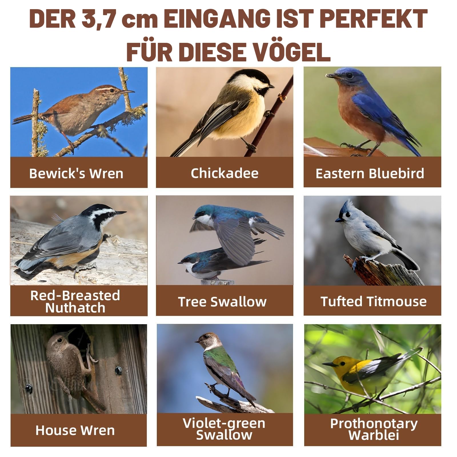 Holz-DIY-Vogelhaus-Set für Erwachsene zum Bauen, Outdoor-Holzarbeiten, Freihandmalerei, hängendes Vogelhaus für Garten- und Hofdekoration, Geschenk