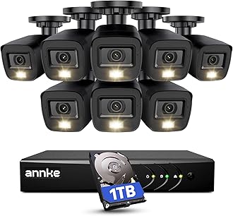 ANNKE Home Security Camera System 8 Channel 1080P Lite DVR with 1TB HDD and (8) HD 1080P Outdoor IP66 Weatherproof CCTV Cameras, Smart Playback, Instant email Alert with Images