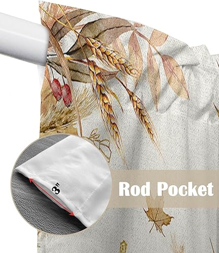 Miniatura 6 de Cortinas con diseño de calabaza, para otoño, Acción de Gracias, acuarela, calabaza, cortinas con bolsillo para barra, 2 paneles de lino de trigo y