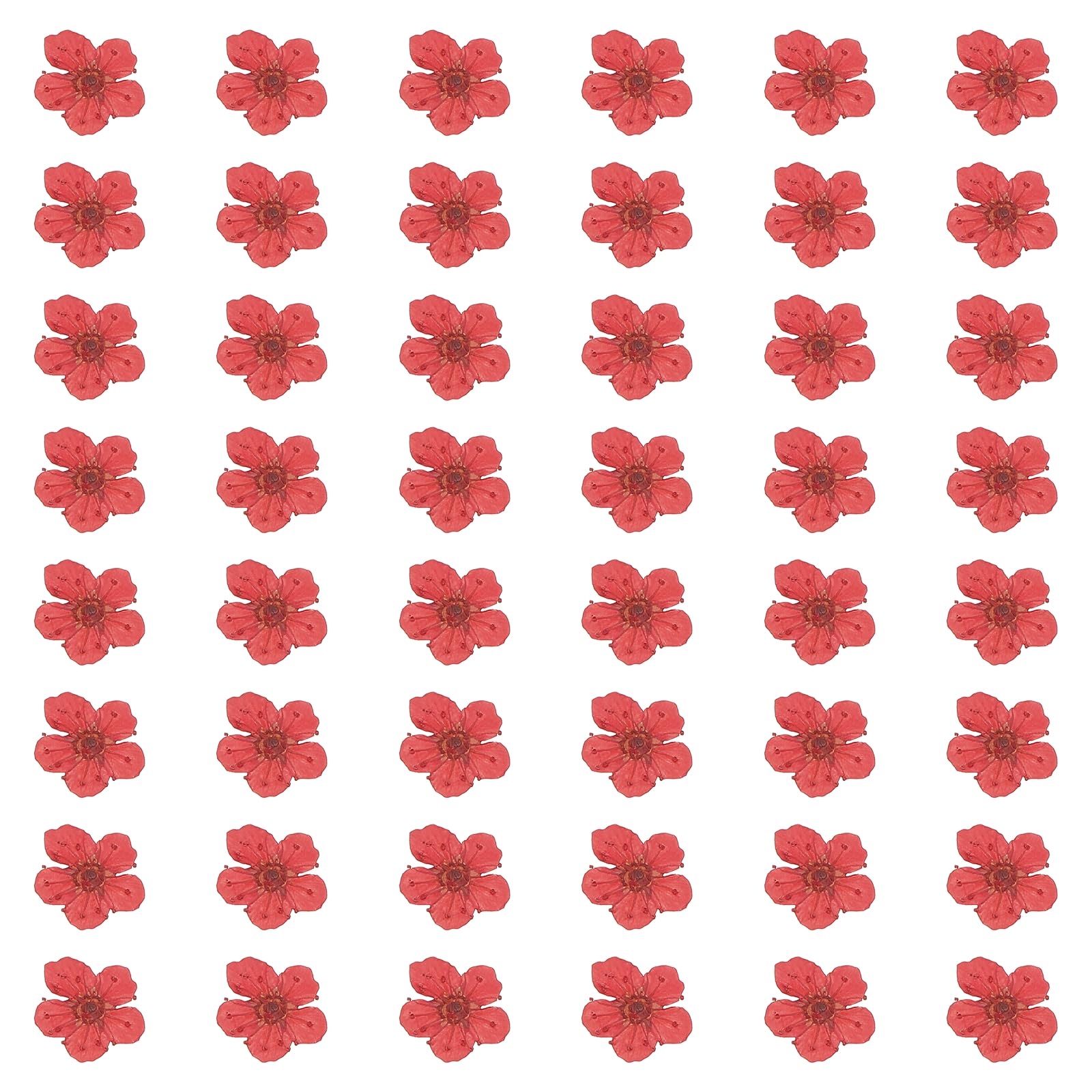 sourcing map 100Pcs Dried Pressed Flowers, 0.24-0.31" Colorful Dried Pressed Narcissus Flowers Bulk for Nail Art Resin Jewelry Candle Card Making Scrapbook Phone Case Decoration, Crimson