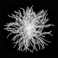 Vista 10 de Gran cantidad de plumas rosas, plumas de pato y de ganso blancas, relleno de plumas para almohada, ropa de cama, bricolaje, estándar de EE. UU.