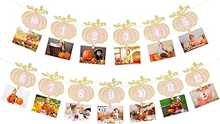 Pumpkin 1st Birthday Photo Banner Pink Gold Pumpkin First Birthday Photo Banner Pumpkin 12 Month Photo Banner for Fall Pumpkin Themed 1st Birthday Party Supplies
