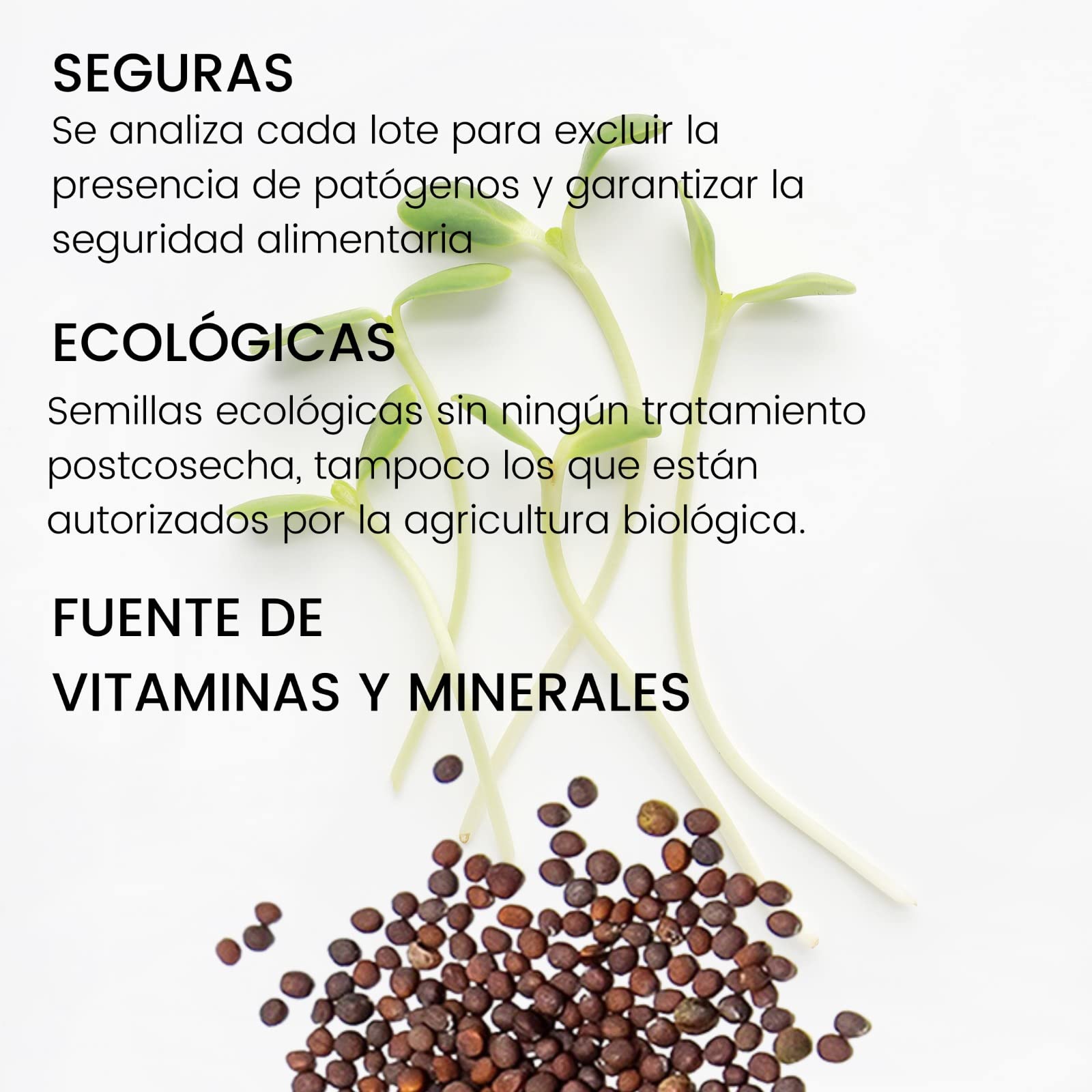 Semillas Bio para germinar brotes y micro green Bueno Bonito Biológico - 80G RÚCULA - Semillas para brotes y germinados BIO - Cultiva germinados frescos para comer