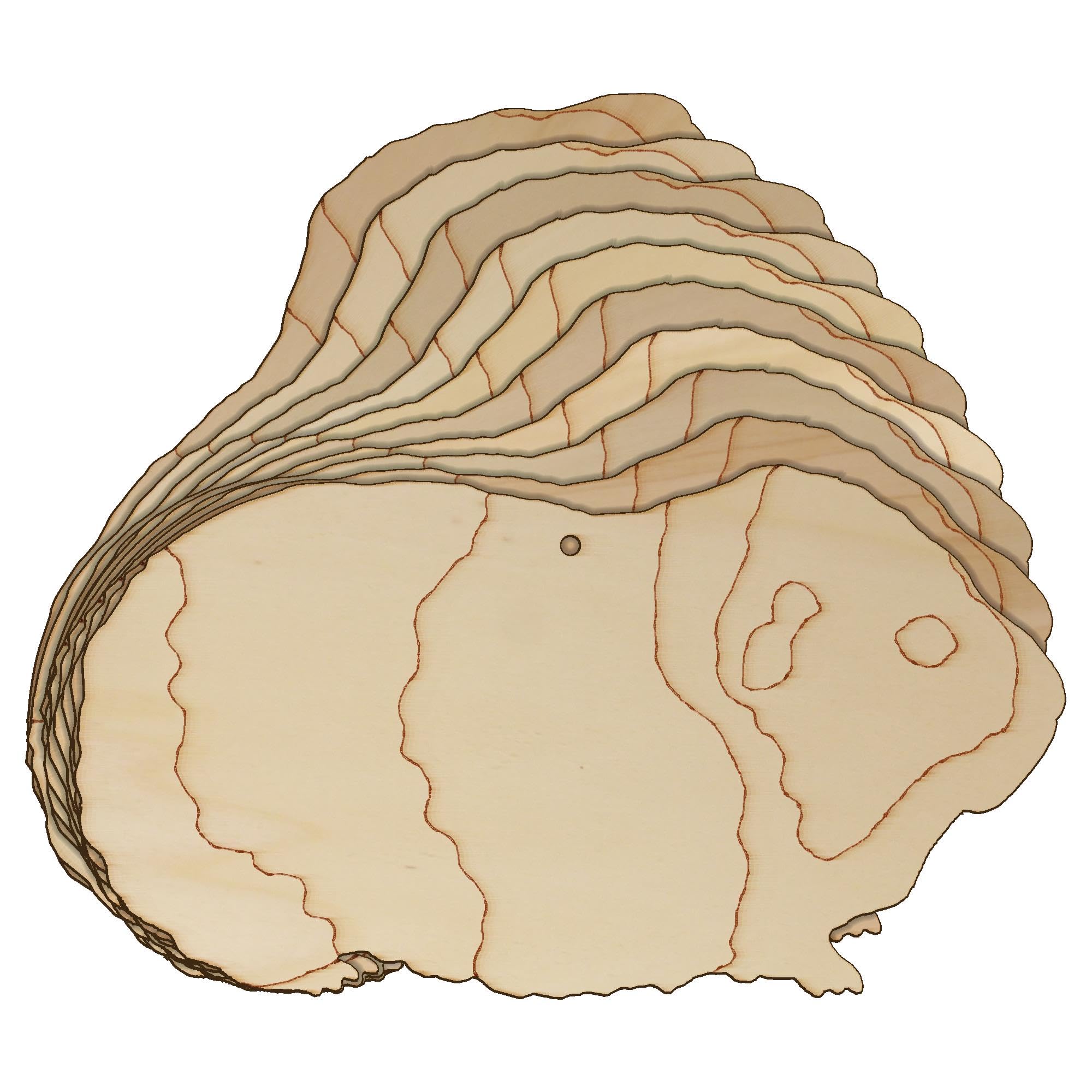 10x Wooden Guinea Pig Craft Shapes 3mm Plywood Domestic Pet Short Haired(20 x 37.2cm,Hole Top Centre)