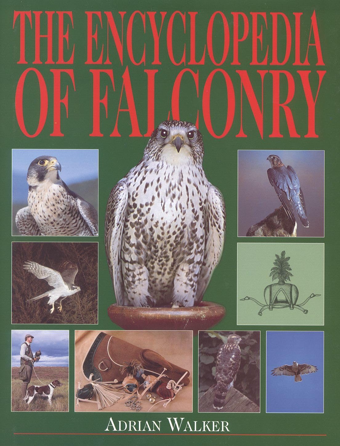 The Encyclopedia of Falconry      Hardcover – January 5, 2000