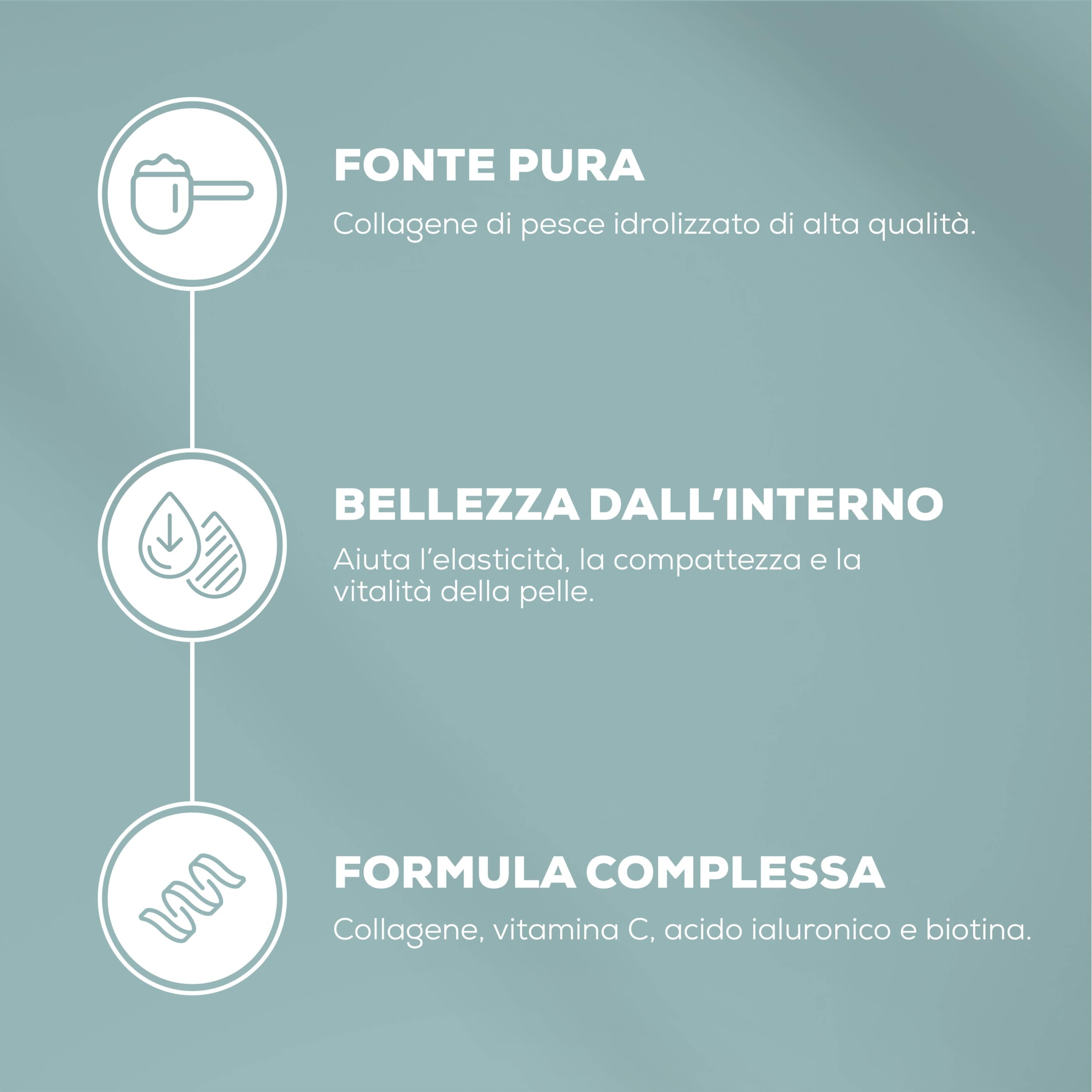 BioTechUSA Marine Collagen | collagene marino con vitamina C | Vitamina C per la normale formazione di collagene | da bere | 240 g, Mango