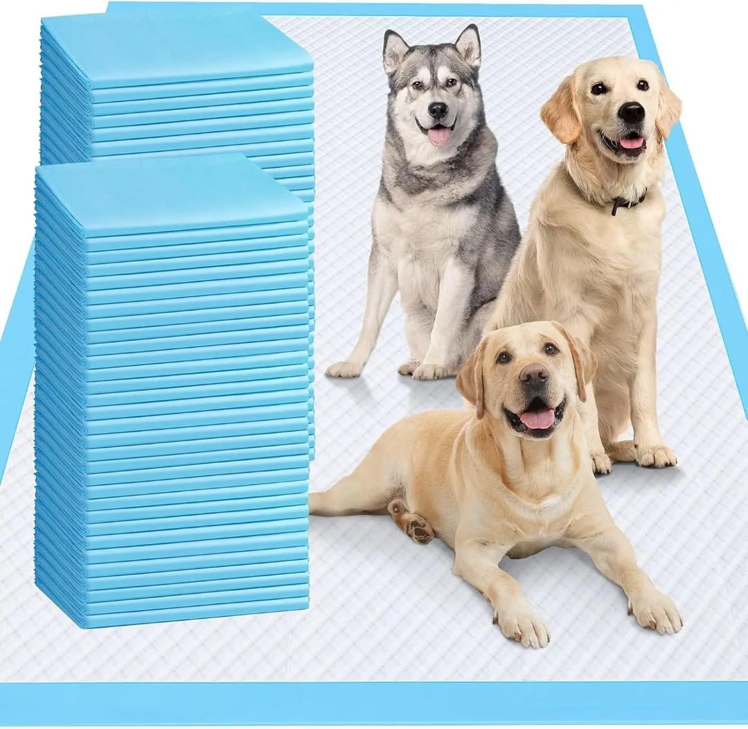 Disposable Training Pads for Dogs (24" X 24", 20, Count)