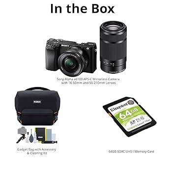 SONY α6100 Amazon.com : Sony Alpha A6100 Mirrorless Camera : Electronics