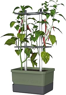 BUZZY Seeds Charly Chili Self-Watering Planter with Vertical Trellis – 1.2 Gal Reservoir, Large Capacity Planter for Chili Peppers, Bell Peppers & Eggplants (Green)