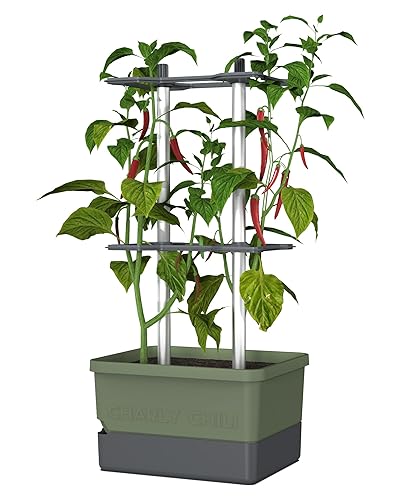 BUZZY Seeds Charly Chili Self-Watering Planter with Vertical Trellis –