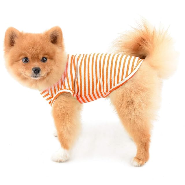 Foto 2 de 8 de PAIDEFUL Camisas a Rayas para Perros Pequeños Medianos Gatos Chaleco de Algodón Suave Camiseta sin Mangas…