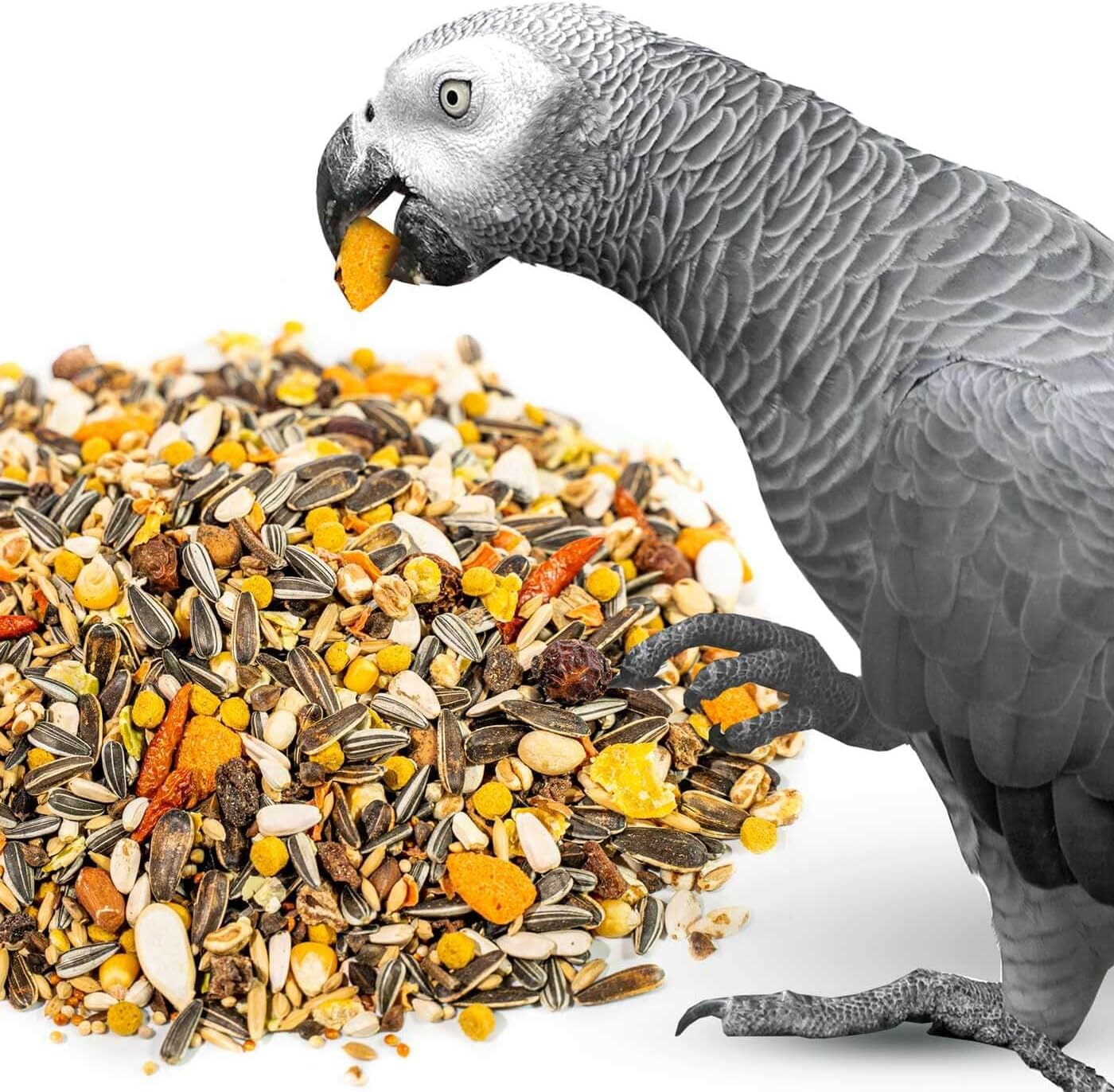 PARROT ESSENTIALS Premium African Grey Parrot Food 2KG Bag Parrot