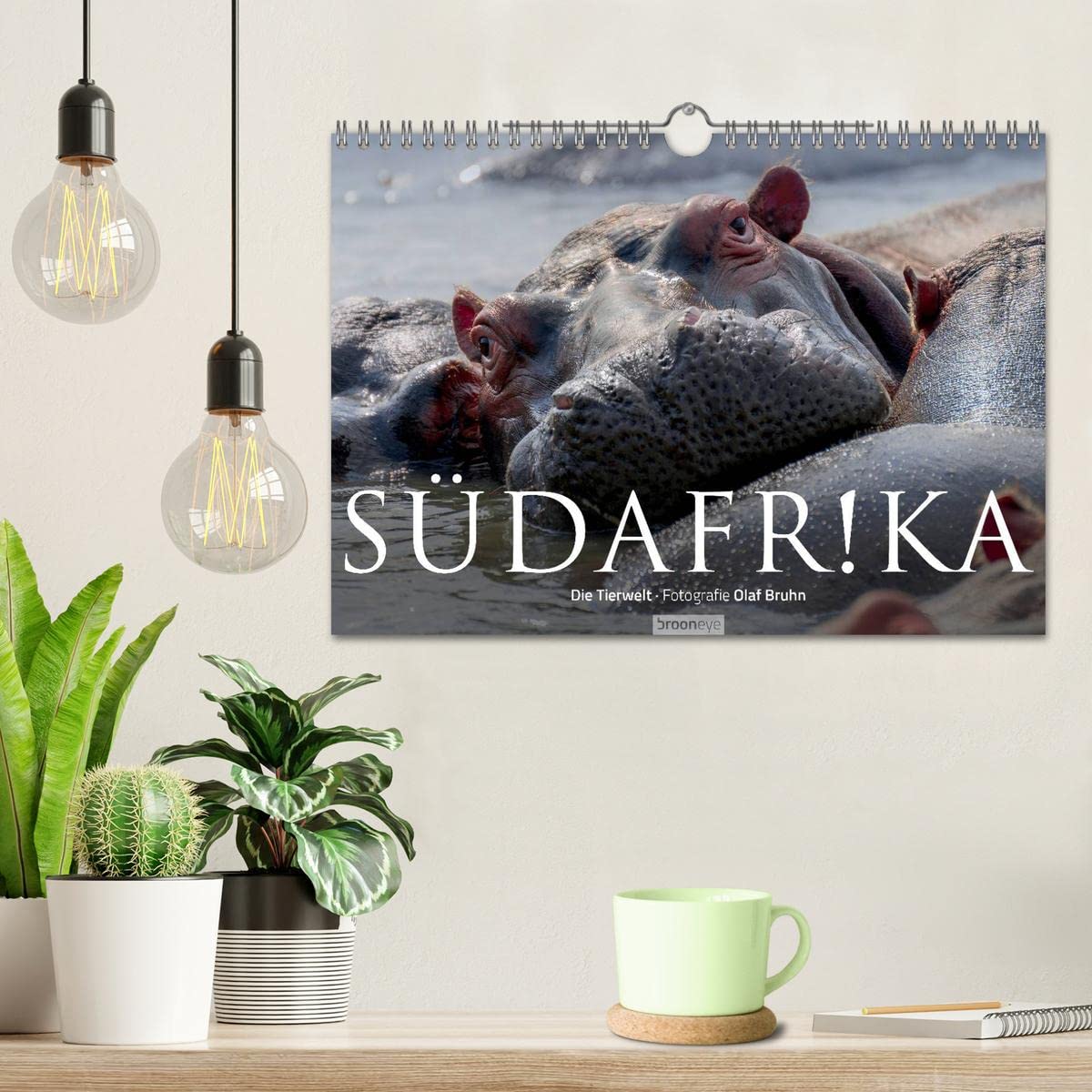 Südafrika - Die Tierwelt (Wandkalender 2026 DIN A4 quer), CALVENDO Monatskalender: 12 wunderschöne Tieraufnahmen aus Südafrika von dem Fotografen und Grafik-Designer Olaf Bruhn (CALVENDO Natur)