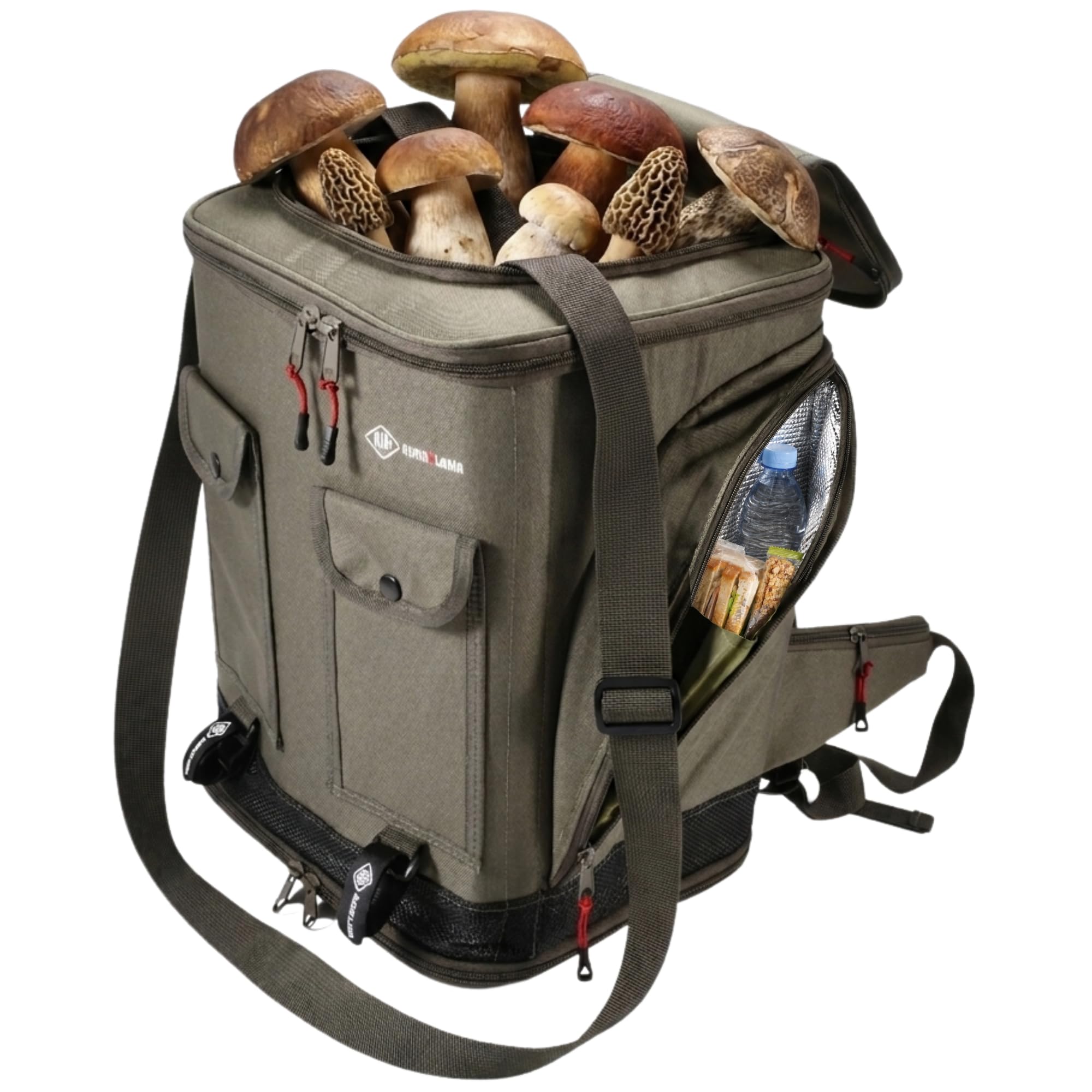 Pilz Tasche [38L Volumen & Belüftetes Mesh-System] | Pilztasche mit stabiler Struktur & Tragesystem (Rucksack & Schultergurt) – Mushroom Backpack zum Pilze sammeln (Grün)