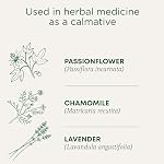 TRADITIONAL MEDICINALS Thé Bio à la Lavande et à la Menthe Cup of Calm, 16 CT