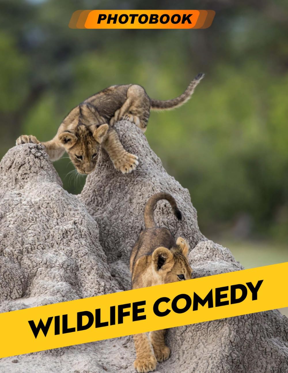 Wildlife Comedy Photo Book: Humorous Animal Photography Featuring Funny Wildlife Moments In Hilarious And Playful Situations For Laughter And Nature Enthusiasts