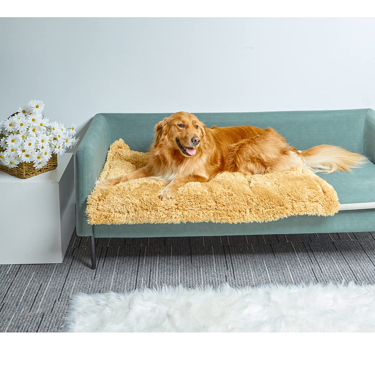 Cuscino per Cane Grande reversibile, Materassino per Cani morbido, lavabile Coperta per cani, da viaggio, ideale per esterni, interni, auto, giardino -Viene fornito con un regalo scatola cieca