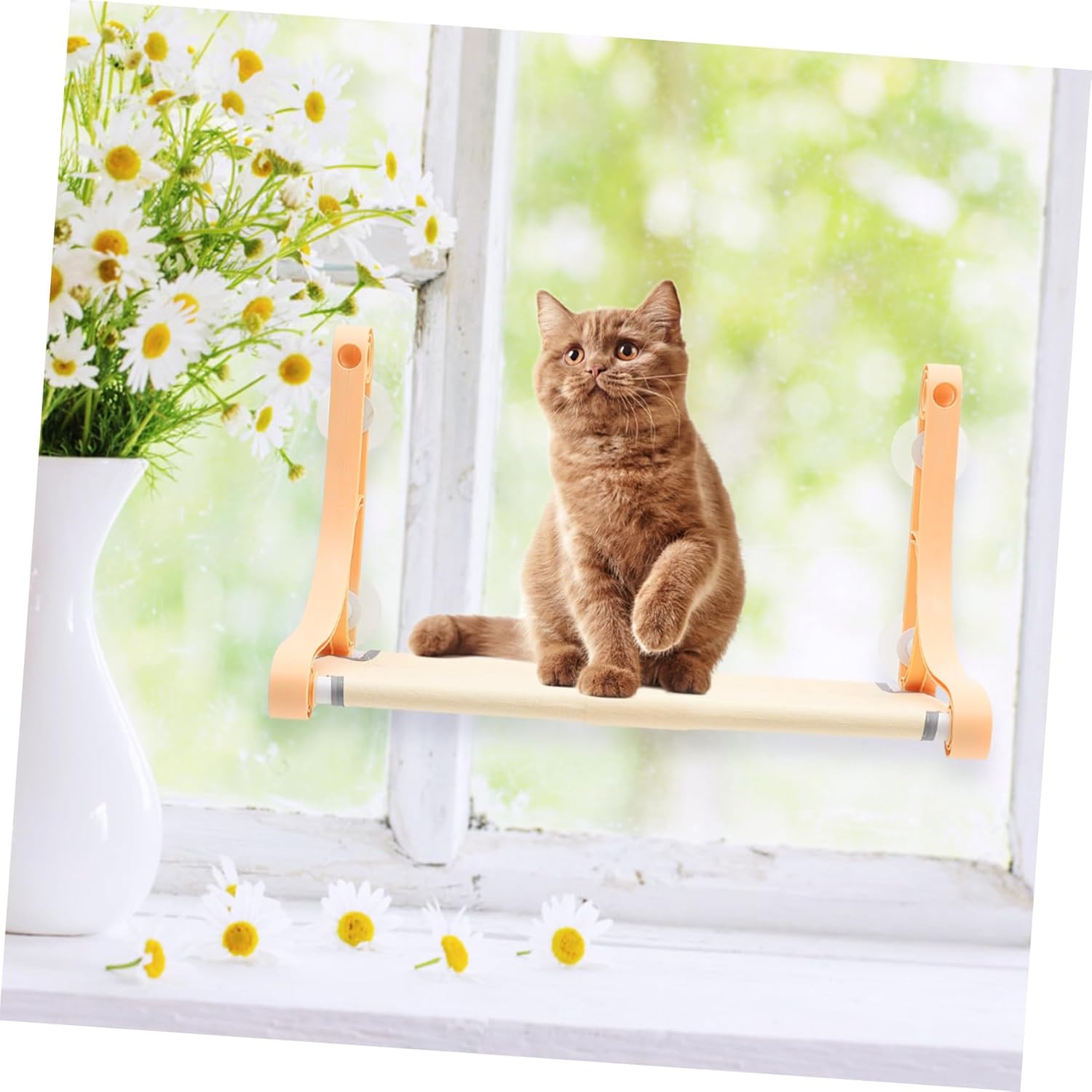 Suction Cup Cat Window Hammock Safety Cat Hammock Easy to Install PET Supply