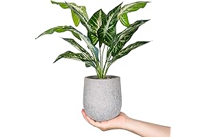 Der Rose Artificial Plant for Table