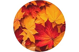 Fall Autumn Leaves Coasters