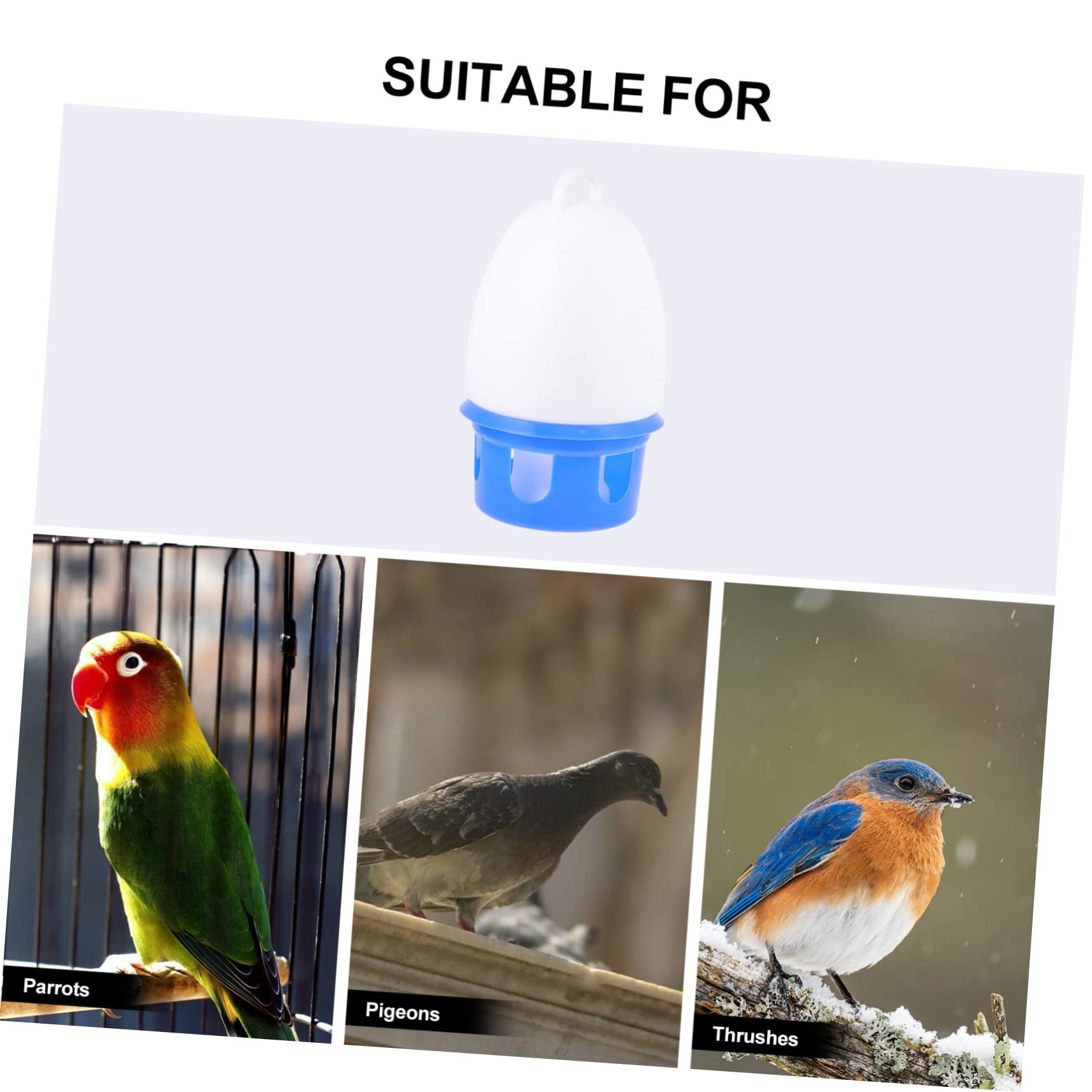 Abreuvoir à Pigeons Bleu en PVC, Modèle 1 Pièce pour Oiseaux et Volatiles | Démontable, Facile à Nettoyer, Structure Robuste, Forme Ronde et Lisse, Usage Simple
