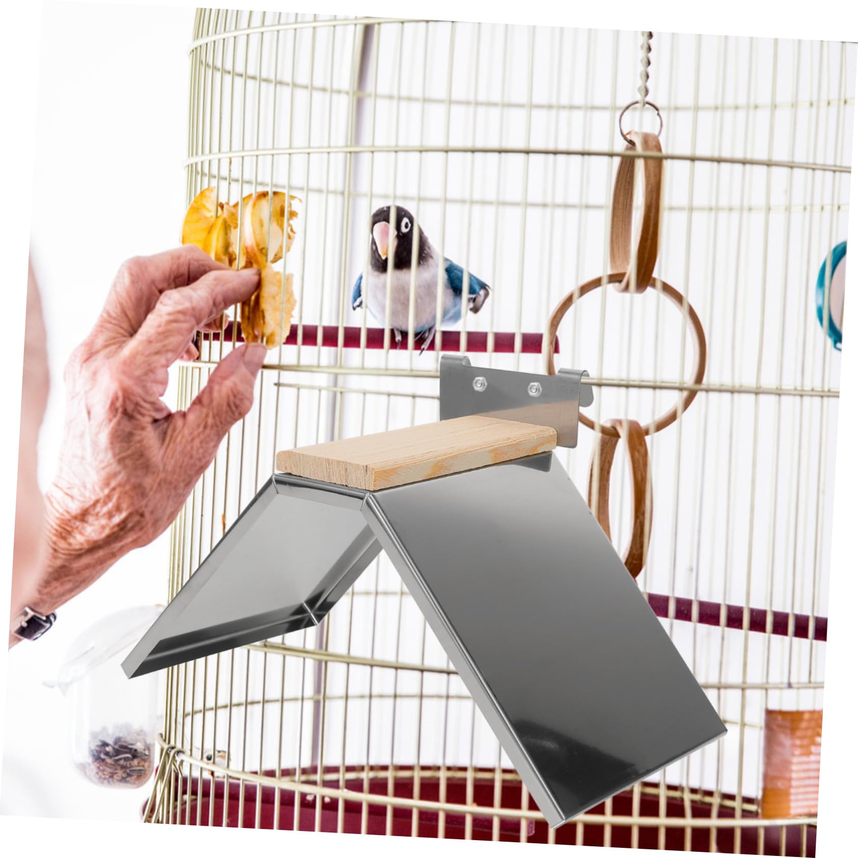 HANABASS 4piezas Percha para Aves De Inoxidable Soporte para y Aves De para Jaulas y De