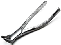 Dental Extracting Forceps 151 Lower Incisors Root Teeth Surgical Extraction Instruments