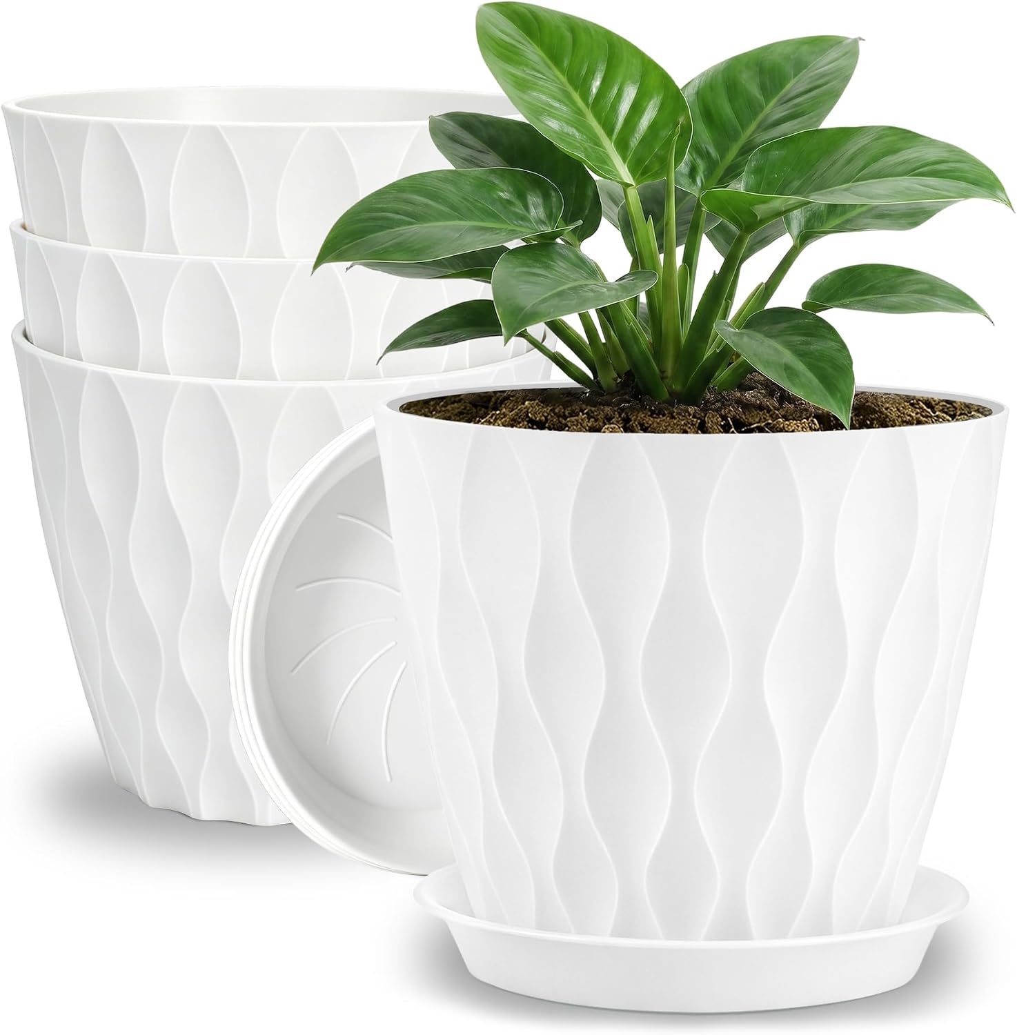 YNNICO 8 inch Plant Pots for Indoor with Drainage Holes and Tray Saucers