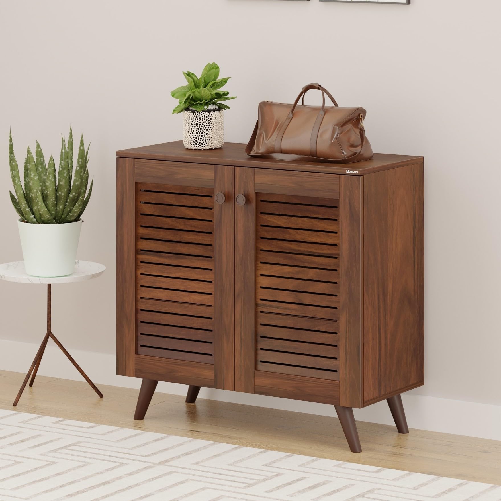 BLUEWUD Carlem Engineered Wood 2 Doors Shoe Rack Cabinet Slipper Footwear Stand Organizer with Drawer can Store Up to 12 Pairs for Hall Living Room Home Furniture (Brown Maple) (B0CR6B1KPV) Amazon Price History, Amazon Price Tracker