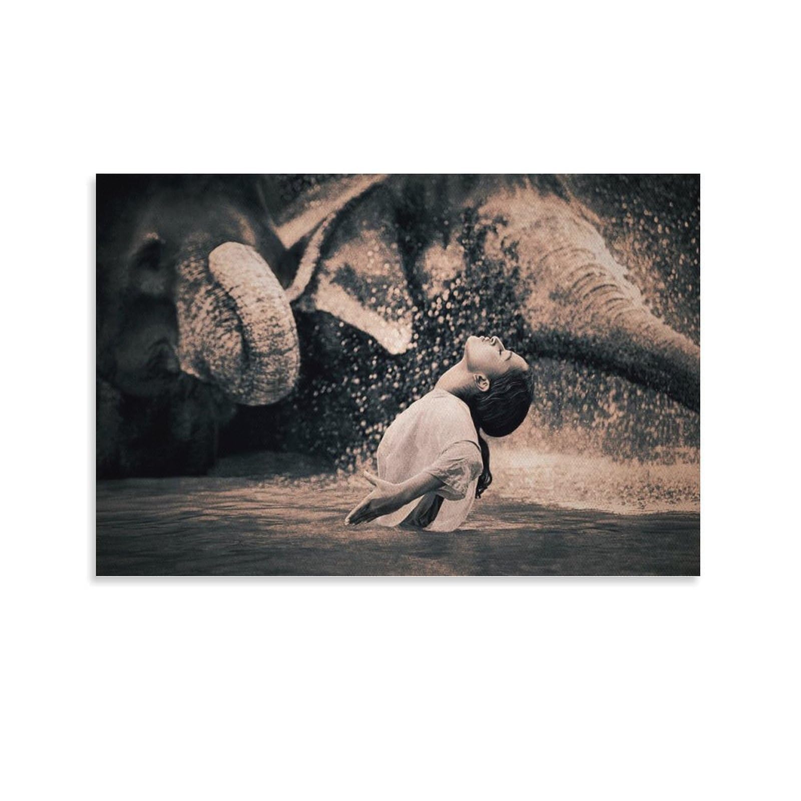 Amazon.com: Artist Gregory Colbert Black And White Photography