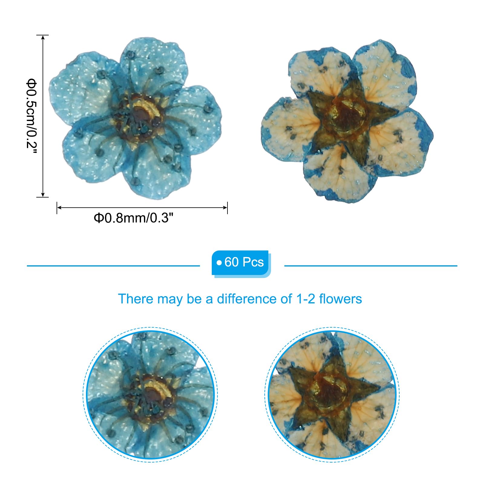 PATIKIL Dried Pressed Flower, 60 Pcs for Resin DIY Crafts Nail Art Cards Scrapbooking Jewelry Making Floral Decor, Blue - Image 2