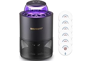 Effective Fenun Gnat Trap for Indoor Pest Control