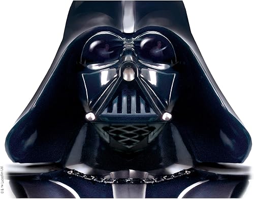 Miniatura 2 de Tervis Vaso de plástico aislado de doble pared hecho en Estados Unidos mantiene las bebidas frías y calientes, 24 onzas, Darth Vader