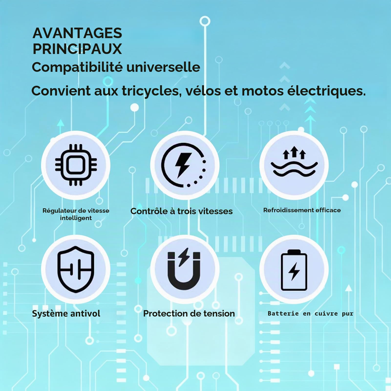 24 V-36 V/36 V-48 V, 250 W, 350 W, contrôleur de Brosse de Vitesse du Moteur, kit contrôleur sans balais Ebike avec Panneau d'affichage LCD étanche pour E-Bike et Moto