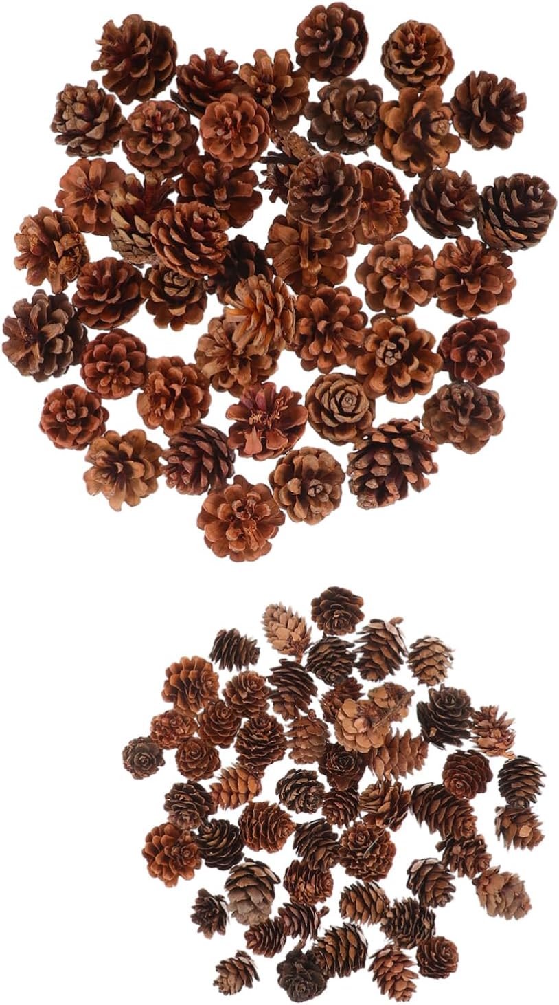 Generic 150Pcs Natural Pine Decorations Tiny Acorns for Crafts DIY Projects Bulk Vase Fillers for Autumn Thanksgiving Christmas Home Decor Rustic Miniature