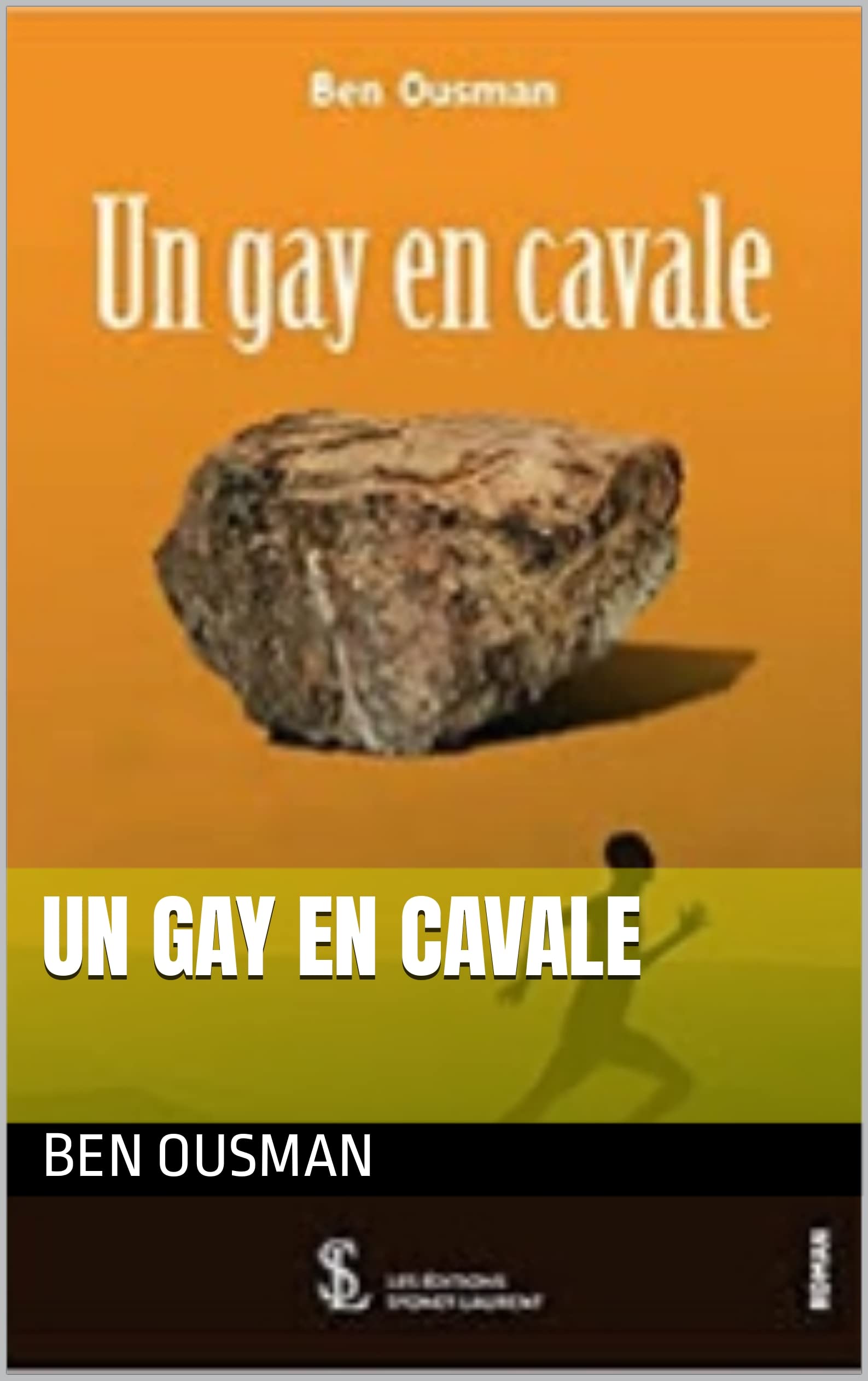 UN GAY EN CAVALE (French Edition)