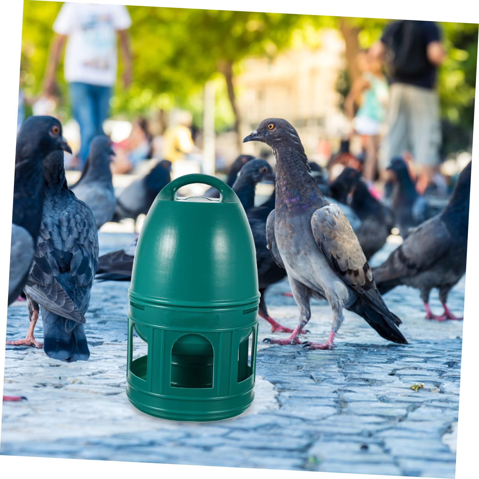 Bebedero para Pájaros Domésticos de Plástico Verde de 3l Diseño Redondo Portátil y Removible Adecuado para Tiendas de Mascotas y Zoológicos