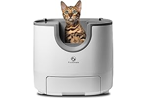 The Revolutionary Self-Cleaning Litter Box for Your Feline Friends