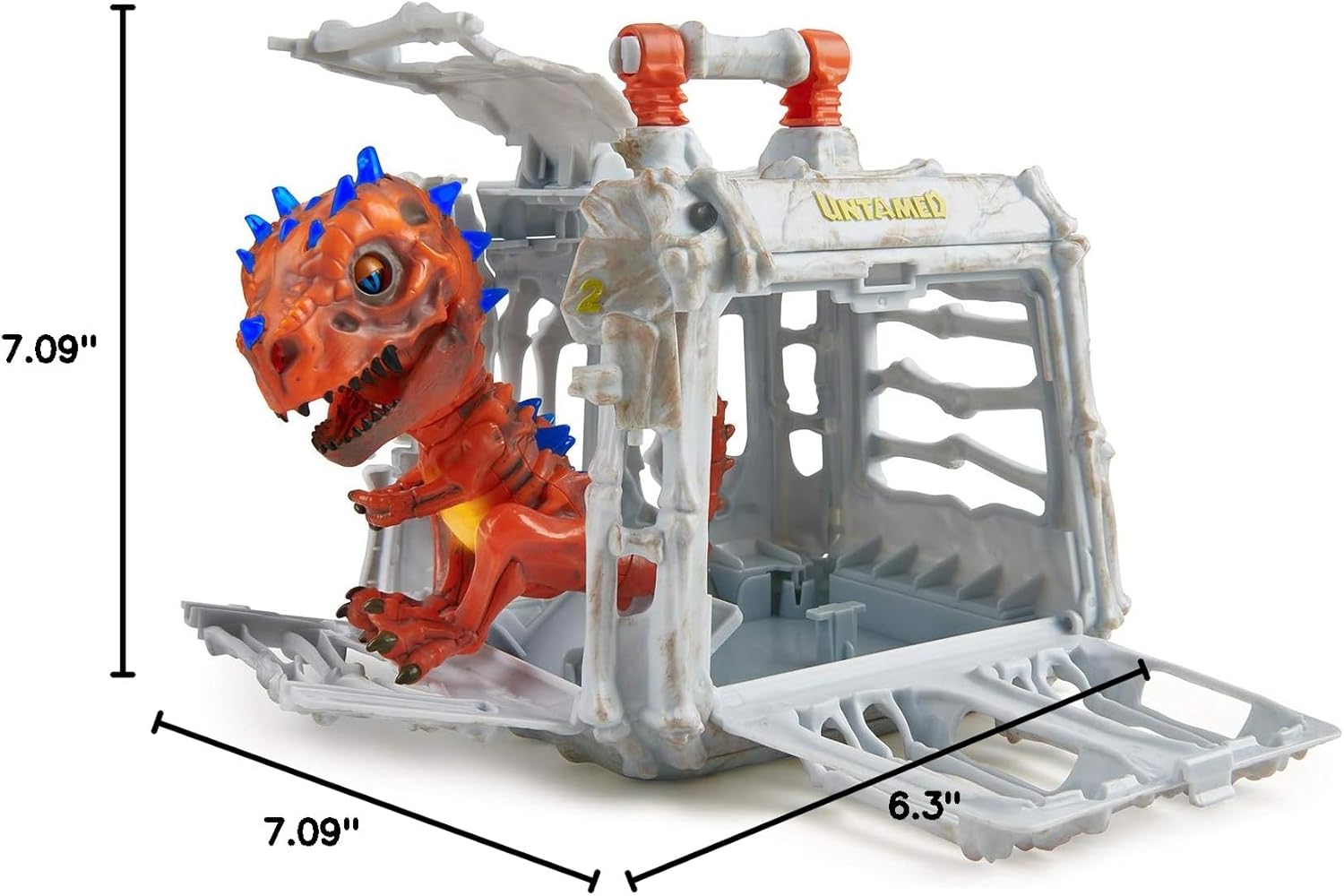 قیمت و خرید از آمازون عکس 8