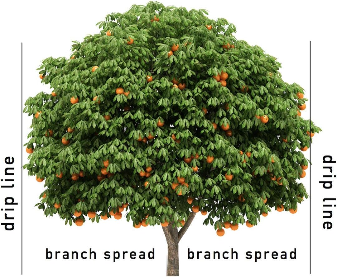 Jobe's 01002 Fertilizer Spikes, Fruit and Citrus, 5 Count, Slow Release, Apple, Orange, Lemon, Trees