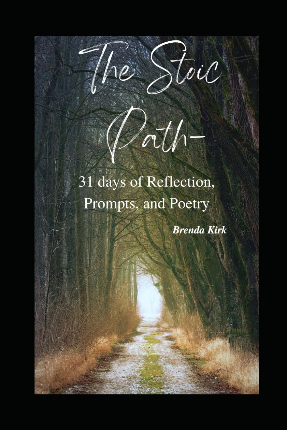 The Stoic Path - 31 days of Reflection, Prompts, and Poetry (A Year Within: Seasons of Self)