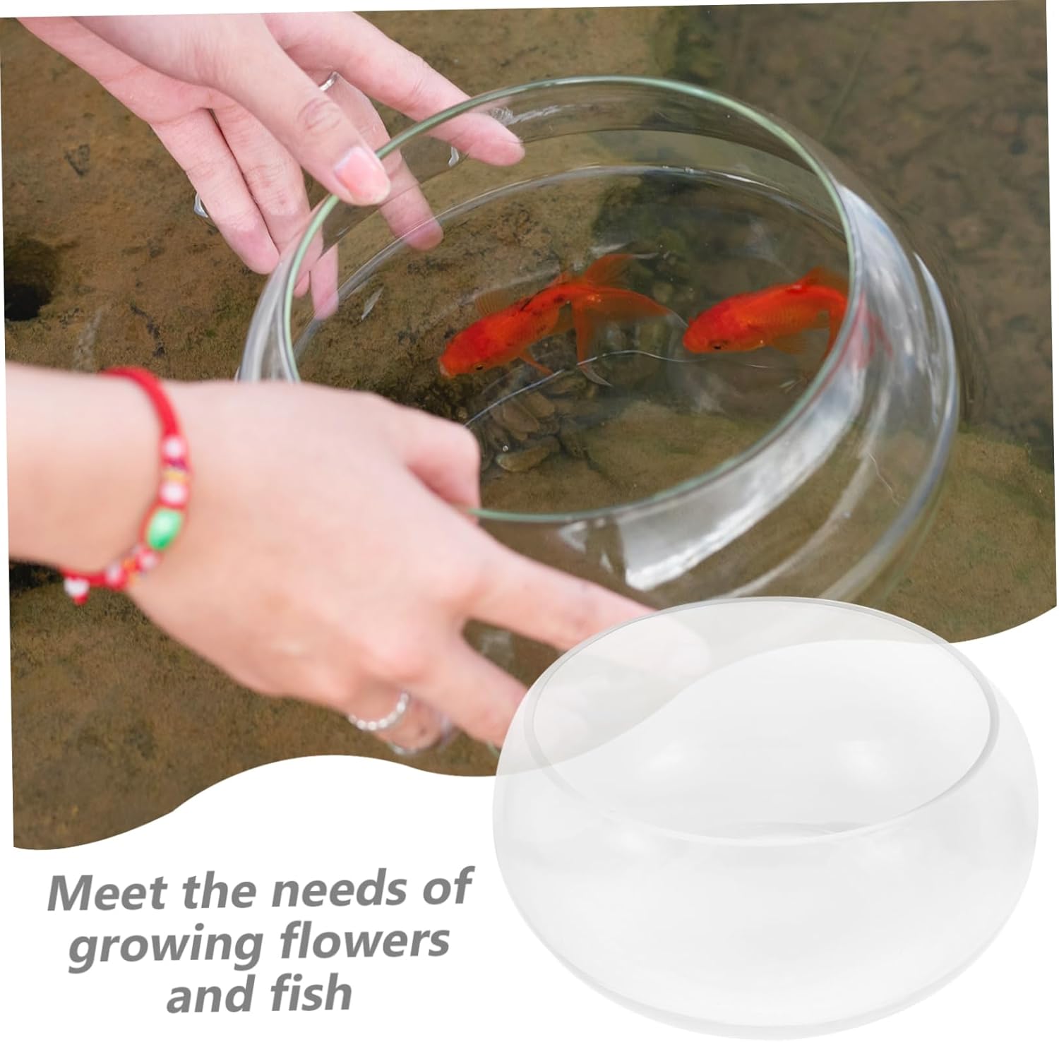 2pcs Transparent Glass Fish Bowl for Hydroponic Plants Versatile Turtle Feeding Tank and Decorative Succulent Pot for Home and Office