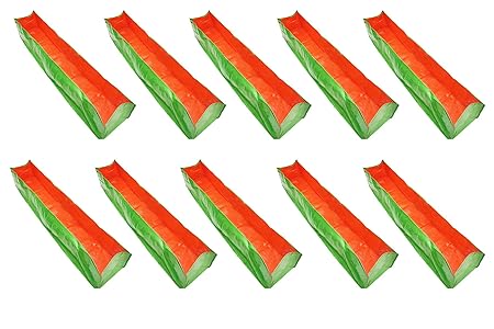 BIO BLOOMS AGRO INDIA PRIVATE LIMITED Long Grow Bag 5x1x1 Feet 200gsm, 10 Pcs, Uv Teated, Long Life, Outdoor, with Drain Holes (60x12x12 Inches) Pack of 10 Bio_10s