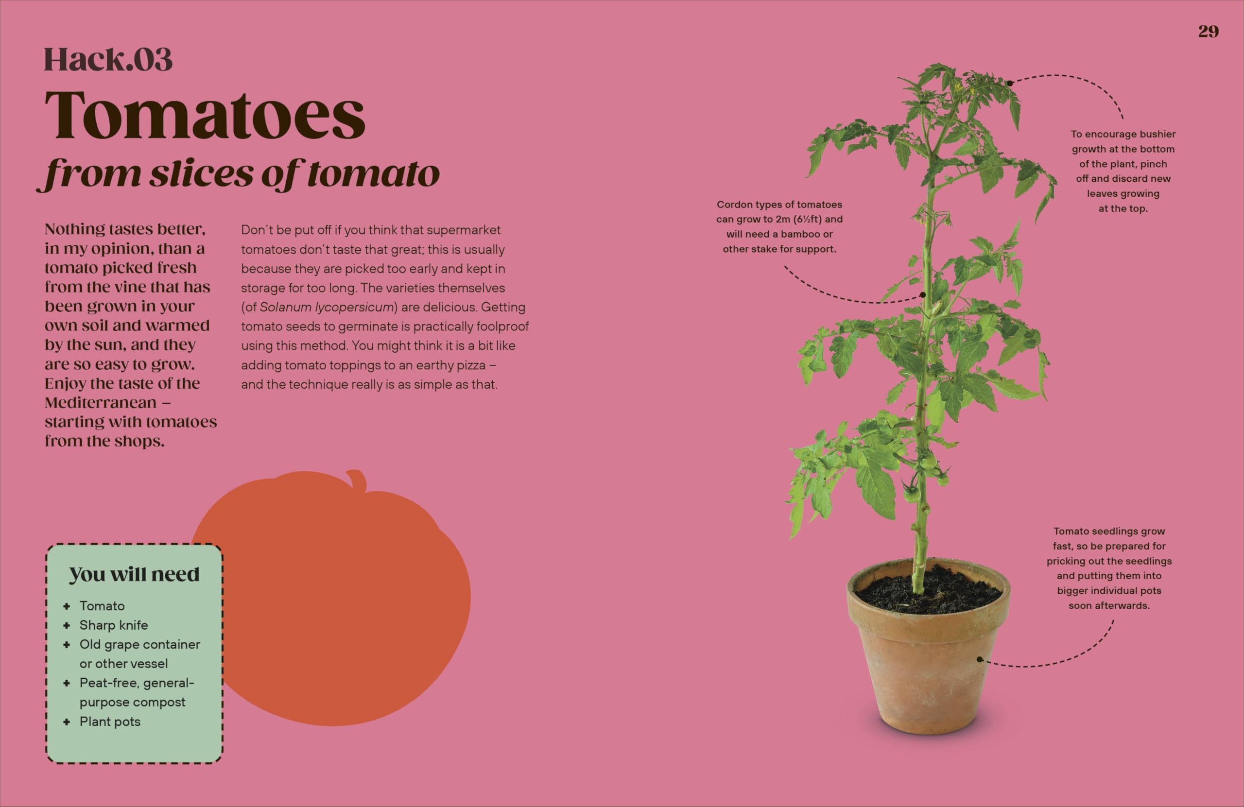 Grow Your Groceries: 40 Hacks for Growing Plants from Your Weekly Shop: A SUNDAY TIMES BESTSELLER