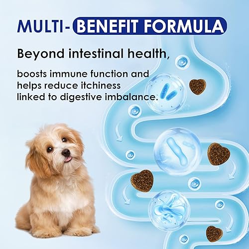 Miniatura 6 de Probióticos para perros con enzimas digestivas y prebióticos - Alivio de la diarrea, apoyo a la salud intestinal, función inmune y antipicazón,